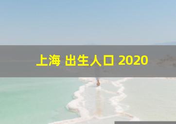 上海 出生人口 2020